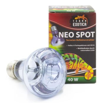 Terra ExoticaNeo Spot - 40 Watt Terrarien-Reflektorstrahler
